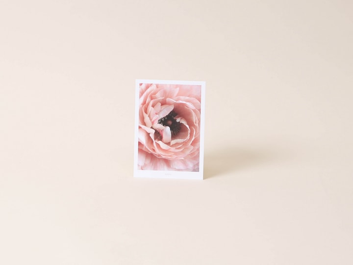 Image of Esmée Pfingstrose Postkarte bei Do it + Garden von Migros