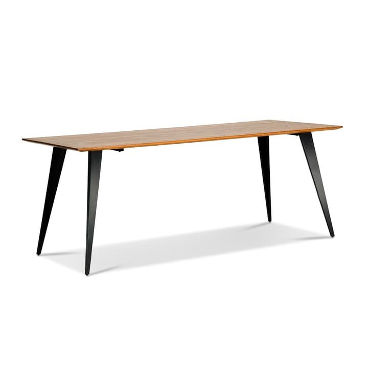 WILLIAM Table WILLIAM Table 366157400000 Photo no. 1