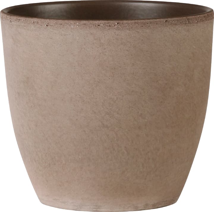 Scheurich Coprivaso lucido Coprivaso lucido Scheurich 657481600000 Taglio ø: 14.0 cm Colore Marrone N. figura 1
