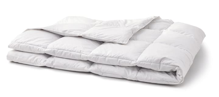 OPTIMADAUN MEDIUM WARM Daunenduvet OPTIMADAUN MEDIUM WARM Daunenduvet 451745112310 Farbe Weiss Grösse B: 160.0 cm x T: 210.0 cm Bild Nr. 1