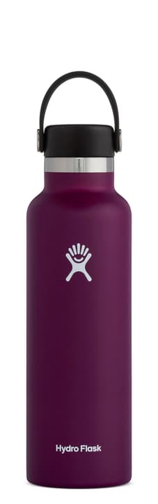 Image of Hydro Flask Standard Mouth 21 oz Isolierflasche / Thermosflasche violett bei Migros SportXX
