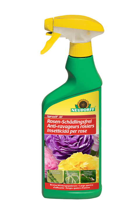 Image of Neudorff Spruzit AF Rosen-Schädlingsfrei, 500 ml Insektizid bei Do it + Garden von Migros