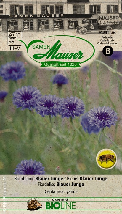 Image of Samen Mauser Kornblume Blauer Junge Blumensamen