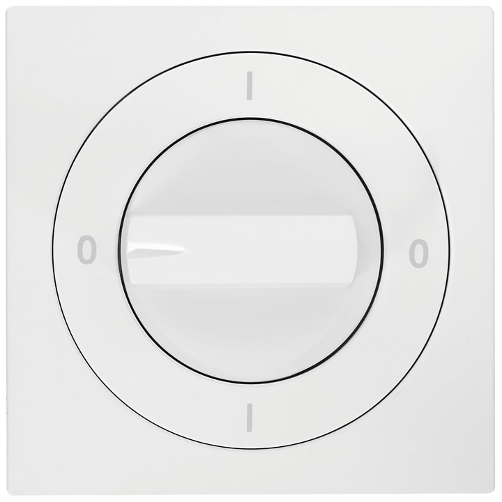 Image of Feller Edizio Due UP Drehschalter Abdeckset bei Do it + Garden von Migros