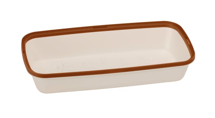 Image of Romberg BoQube M Schale creme-kupferbr Anzucht bei Do it + Garden von Migros