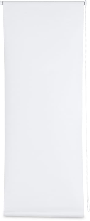 SNAPFIX THERMO Rollo SNAPFIX THERMO Rollo 430747308074 Farbe Beige Grösse B: 80.0 cm x H: 160.0 cm Bild Nr. 1