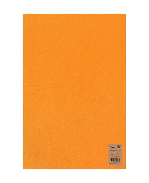 Image of Textilfilz, orange, 30x45cmx3mm bei Do it + Garden von Migros