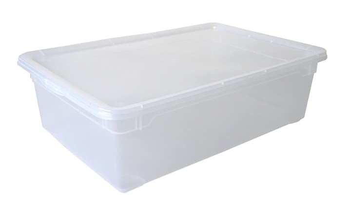 Image of Rotho Clear Box Boots Aufbewahrungsbox bei Do it + Garden von Migros