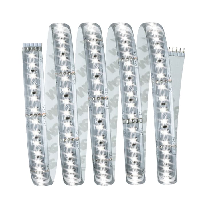 Image of Paulmann MaxLED 1000 Basisset 1,5 m, Tageslicht Light-Strip