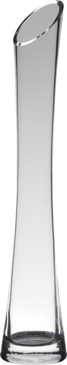 Image of Hakbjl Glass Flute Vase bei Do it + Garden von Migros