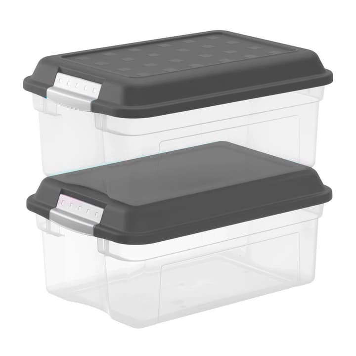 Image of Rotho Box 13 l mit Deckel, A4, 2er-Set Aufbewahrungsbox bei Do it + Garden von Migros