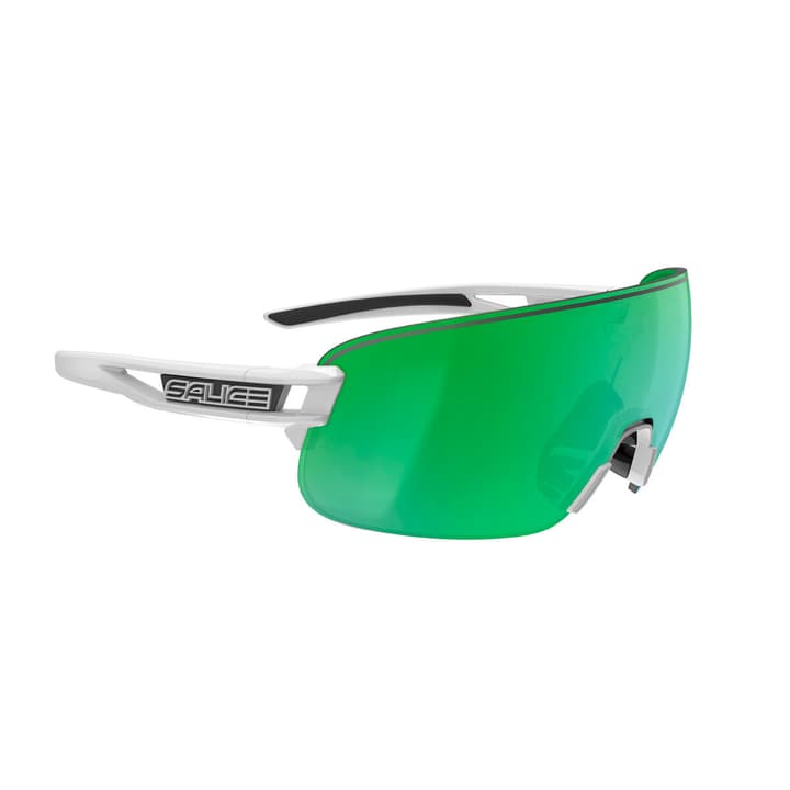 Image of Salice 021Rw Sportbrille gras