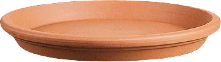 Deroma Sottovaso in terracotta Sottovaso in terracotta Deroma 659441900000 Taglio ø: 19.3 cm x A: 2.7 cm Colore Beige N. figura 1