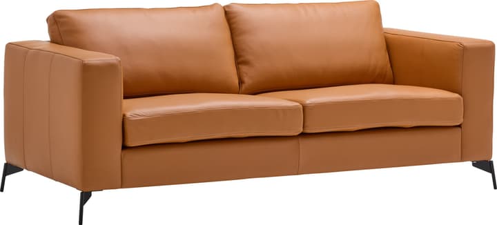 2.5er-Sofa DIENER