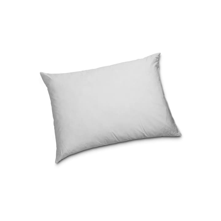 CLASSIC REGULAR Cuscino di piume di qualità superiore con protezione contro gli acari della polvere CLASSIC REGULAR Cuscino di piume di qualità superiore con protezione contro gli acari della polvere 376050900000 Colore Bianco Dimensioni L: 50.0 cm x L: 70.0 cm N. figura 1