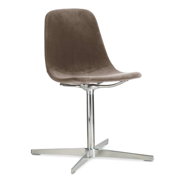 SEDIA Chaise SEDIA Chaise 366185200000 Couleur Gris Dimensions L: 45.0 cm x P: 41.5 cm x H: 85.5 cm Photo no. 1