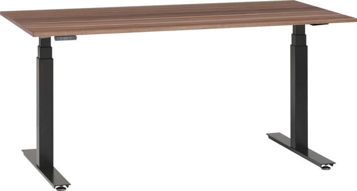 PROFI Pult PROFI Pult 401849900000 Grösse B: 140.0 cm x T: 80.0 cm x H: 67.0 cm Farbe Nussbaum Bild Nr. 1