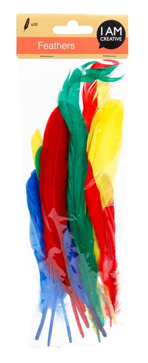 Image of I AM CREATIVE Bunte Federn, Medium bei Do it + Garden von Migros