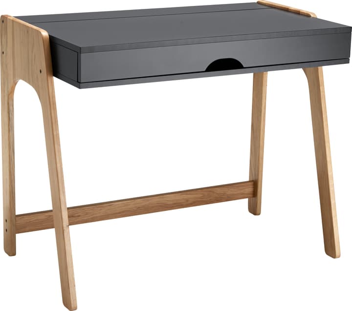 COLEMAN Scrivania COLEMAN Scrivania 401839300000 N. figura 1