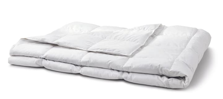 OPTIMADAUN LIGHT Duvet OPTIMADAUN LIGHT Duvet 451745512710 Couleur Blanc Dimensions L: 240.0 cm x P: 240.0 cm Photo no. 1