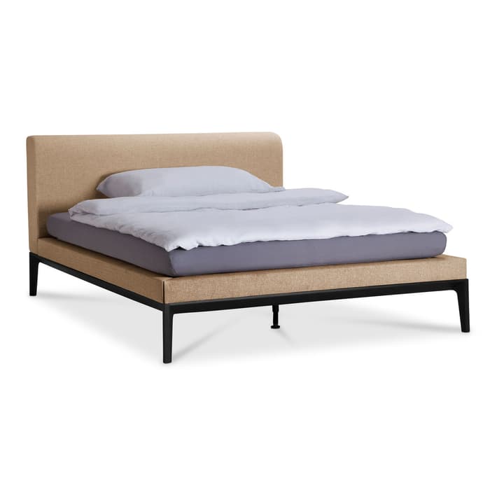 FLORENZ Lit en tissu FLORENZ Lit en tissu 364200342806 Dimensions L: 200.0 cm x P: 200.0 cm Couleur Beige Photo no. 1