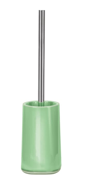 Kleine Wolke Brosse de WC Mable Mable chardon Brosse de WC Mable Mable chardon Kleine Wolke 675243700000 Couleur Vert Clair Taille 10X40 CM Photo no. 1