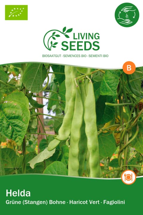 Image of Living Seeds grüne Stangenbohne, Helda Gourmetsamen