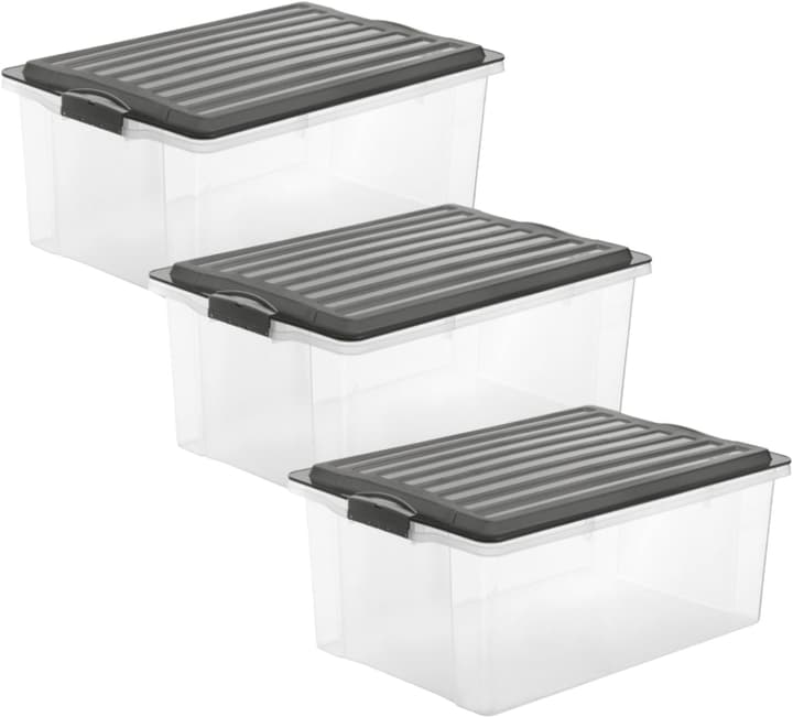 Image of Rotho Compact A3, 3er Set Aufbewahrungsbox