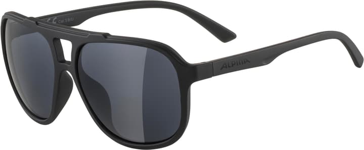 Image of Alpina Snazz Sportbrille schwarz