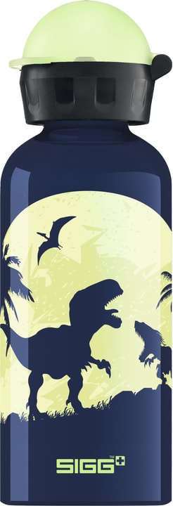 Image of Sigg Dinosaurs Aluminiumflasche bei Migros SportXX