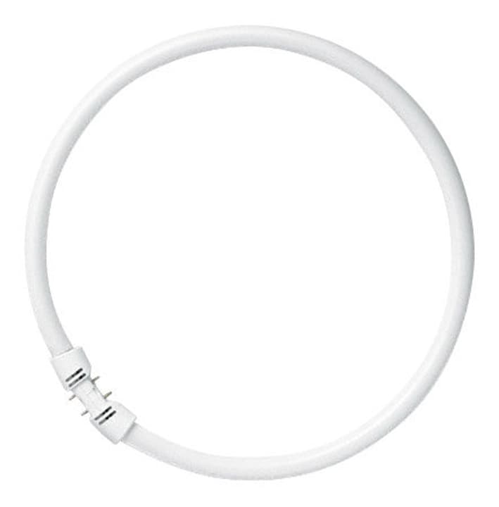Image of Osram Ring FL FC 22W/827 FL-Röhre bei Do it + Garden von Migros
