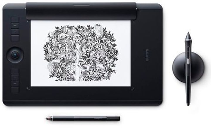 Wacom Intuos Pro Paper M Tablette graphique Intuos Pro Paper M Tablette graphique Wacom 785300129130 Photo no. 1