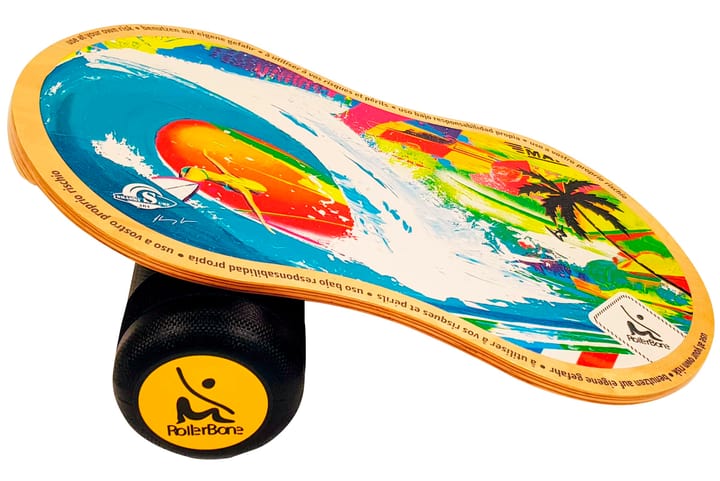 Image of Rollerbone Shabby 1.0 Pro Set Balance Trainer