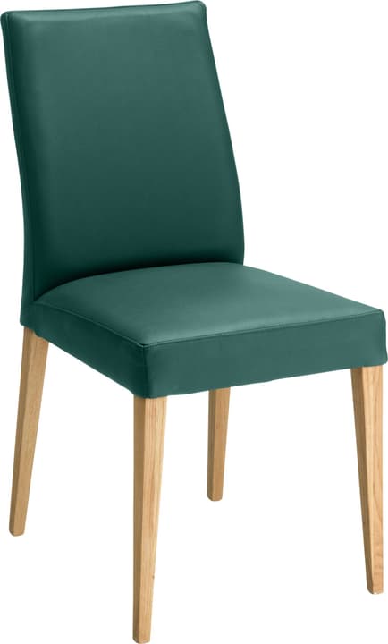 SERRA Stuhl SERRA Stuhl 402355500060 Grösse B: 46.0 cm x T: 57.0 cm x H: 92.0 cm Farbe Grün Bild Nr. 1