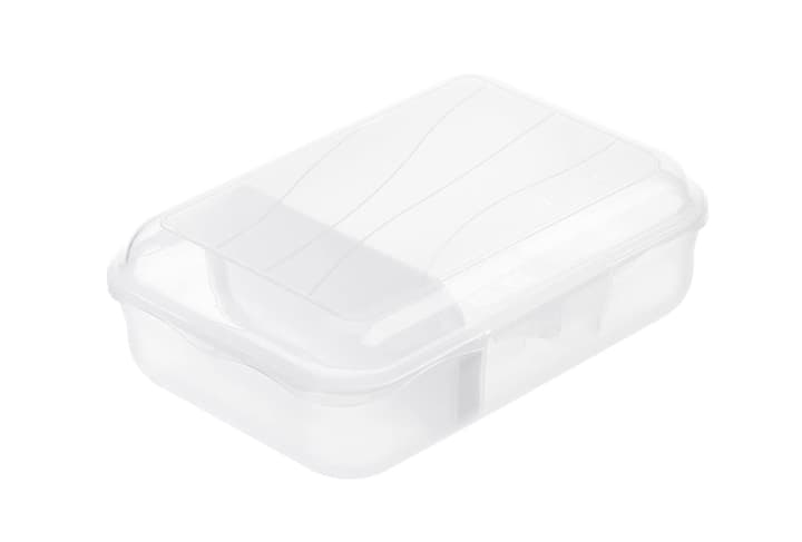 Image of Rotho FUN Lunchbox Snackbox bei Do it + Garden von Migros