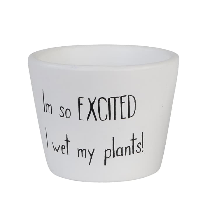 Image of I'm so excited I wet my plants Übertopf bei Do it + Garden von Migros