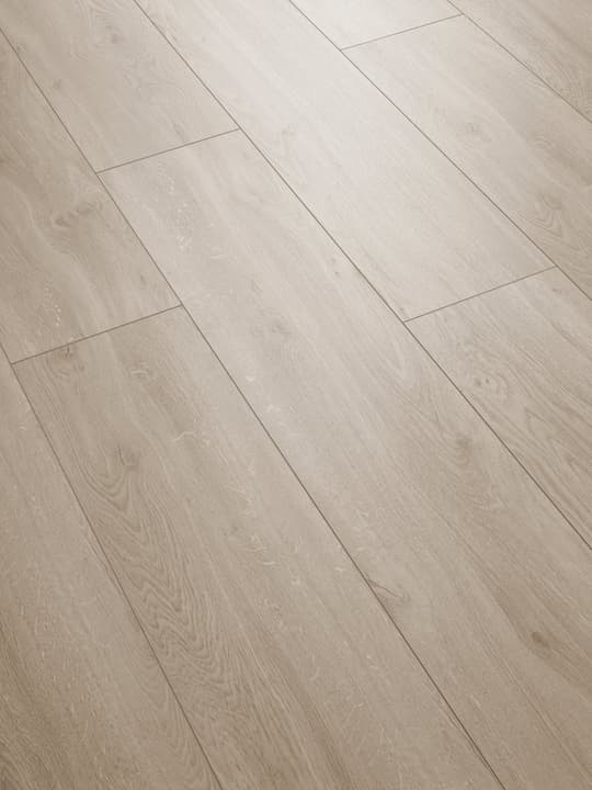 Image of Swisskrono Swiss Noblesse V4 Wide 8 mm, Ascona Oak Laminat bei Do it + Garden von Migros