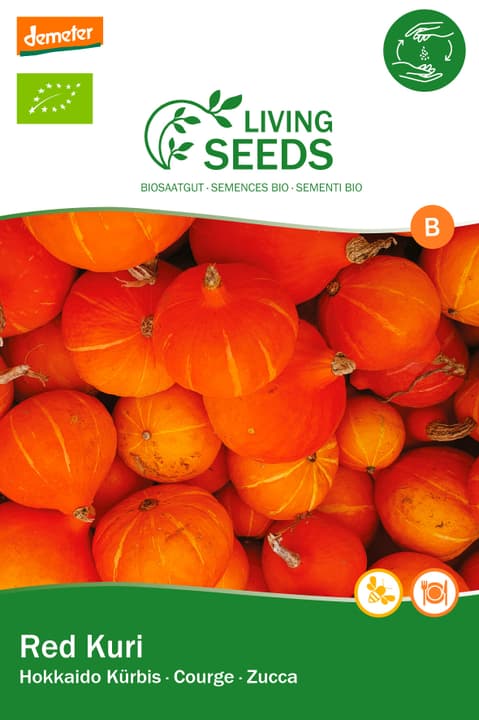 Image of Living Seeds Kürbis, red Kuri Gemüsesamen bei Do it + Garden von Migros