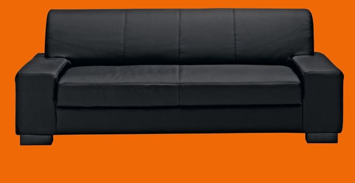 ISABELLA 2ER-SOFA ISABELLA 2ER-SOFA 40260700000007 Bild Nr. 1
