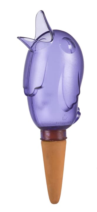 Image of Scheurich BÖRDY S Bewässerungssystem bei Do it + Garden von Migros