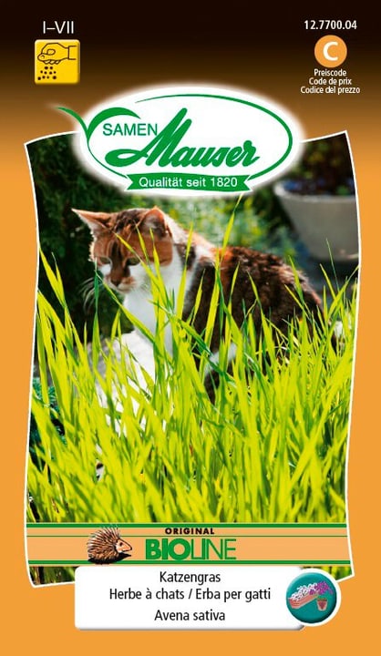 Image of Samen Mauser Katzengras BIO 25g bei Do it + Garden von Migros