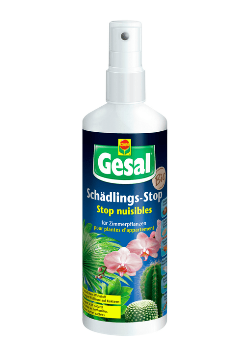 Image of Compo Gesal Schädlings-Stop für Zimmerpflanzen, 250 ml Insektizid bei Do it + Garden von Migros