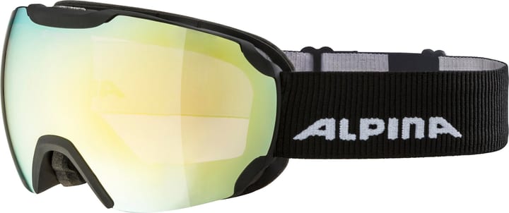 Image of Alpina Pheos Q Skibrille / Snowboardbrille kohle