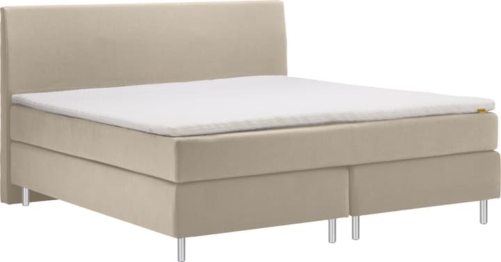 Boxspringbett GOODNIGHT