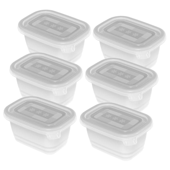 Rotho FREEZE Set di 6 box freezer 0,25l con coperchio, Plastica (PP) senza BPA, trasparente, 6 x 0.25l