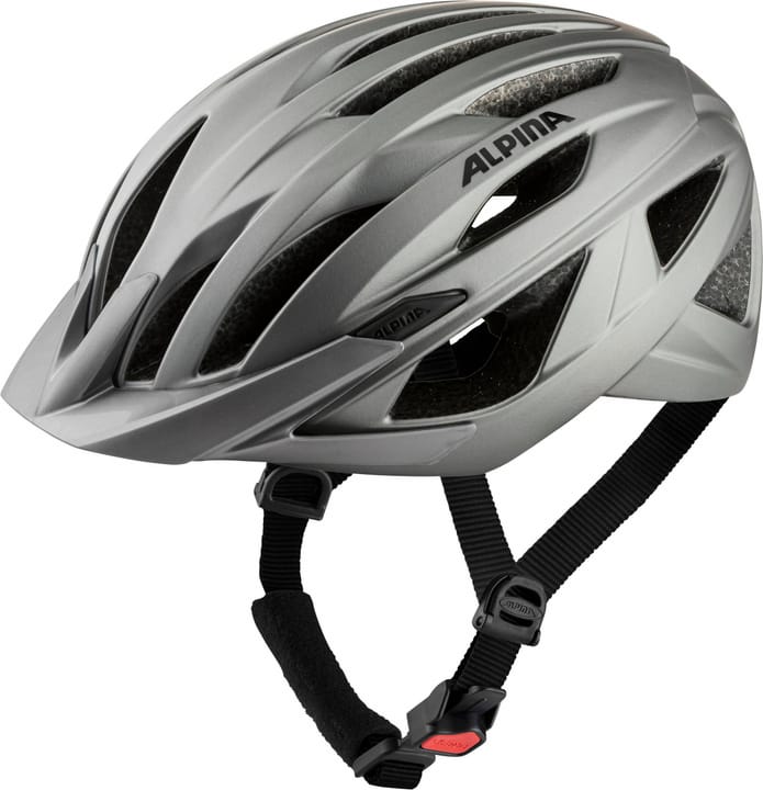 Image of Alpina Parana Velohelm silber