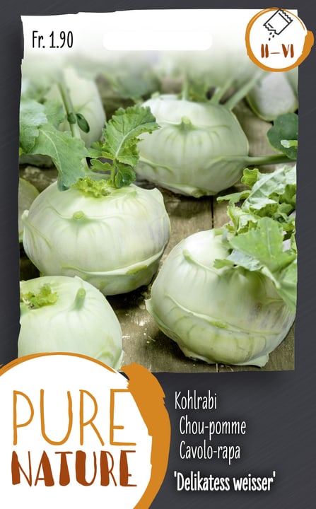 Image of Kohlrabi 'Delikatess weisser' 2.5g Gemüsesamen bei Do it + Garden von Migros