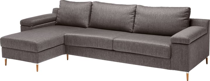 DIENER Divano letto DIENER Divano letto 405732400000 Colore Antracite Dimensioni L: 255.0 cm x P: 158.0 cm x A: 80.0 cm N. figura 1