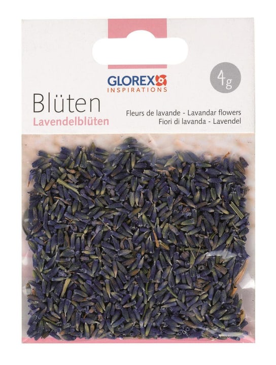 Image of Glorex Hobby Time Lavendelblüten 4g bei Do it + Garden von Migros