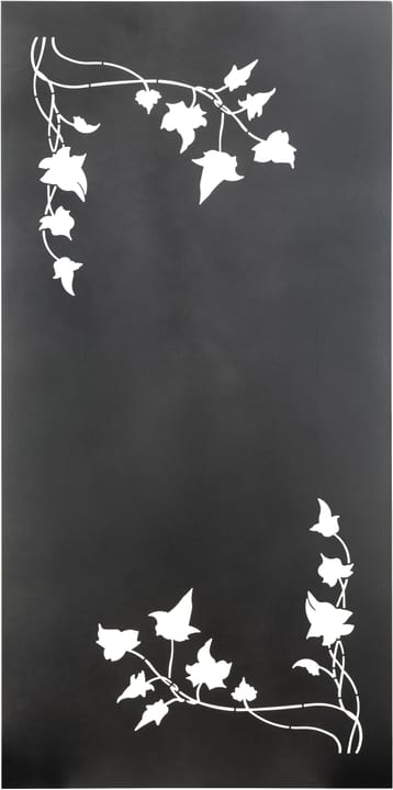 Nouvel Schermo «Hedera», 200 x 100 cm, antracite